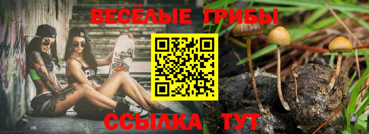 Галлюциногенные грибы MAGIC MUSHROOMS  Вход с VPN  Советская Гавань 